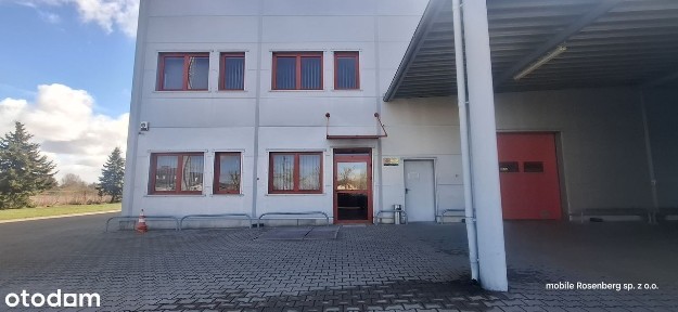 3000m bezpośednio wynajmę + plac 8000m
