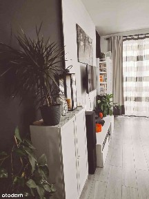 Grudziądz, kujawsko-pomorskie