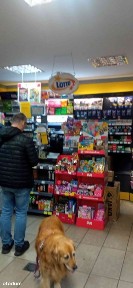 ul. Władysława Stanisława Reymonta, Pogodno, Zachód, Szczecin, zachodniopomorskie