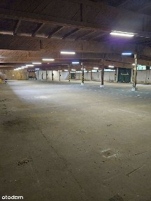 Torzym, sulęciński, lubuskie