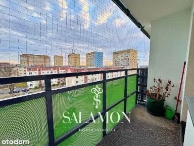 ul. Tadeusza Zawadzkiego, Zawadzkiego-Klonowica, Zachód, Szczecin, zachodniopomorskie