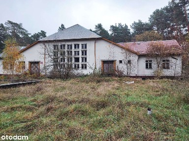 Kęszyca Leśna, Międzyrzecz, międzyrzecki, lubuskie