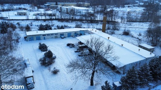 ul. Cieplicka, Piechowice, karkonoski, dolnośląskie
