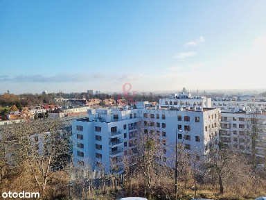 Widok na Starówkę Gdańską, dużo zieleni