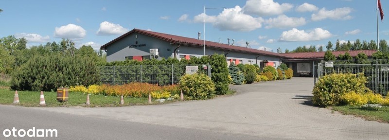 Czarnowąsy, Opole, opolskie