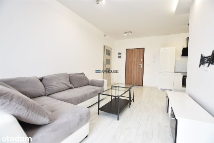 Na Zakolu Wisły, Płaszów, Podgórze, Kraków, małopolskie