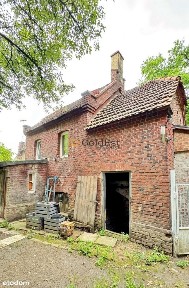 Świdnica, świdnicki, dolnośląskie