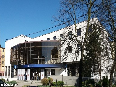Lokal użytkowy, 2 656,88 m², Leszno