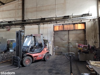 Świdnica, świdnicki, dolnośląskie