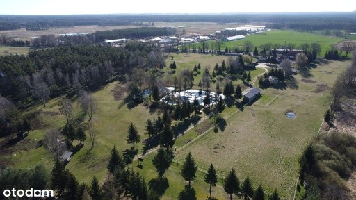 Lubiszyn, gorzowski, lubuskie