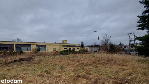 Budynki komercyjne w licytacji