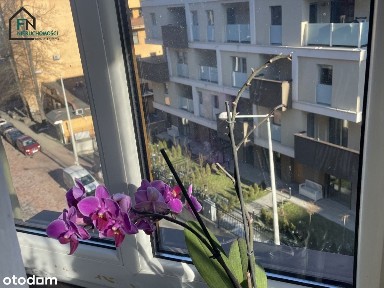 kawalerka w centrum Bielska na wynajem