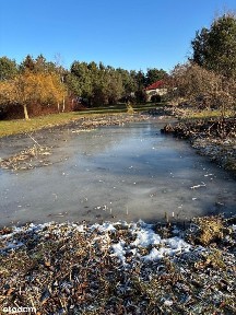 ul. Śliwkowa, Dąbrowa, Dopiewo, poznański, wielkopolskie