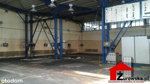 Lokal użytkowy, 6 000 m², Zabrze
