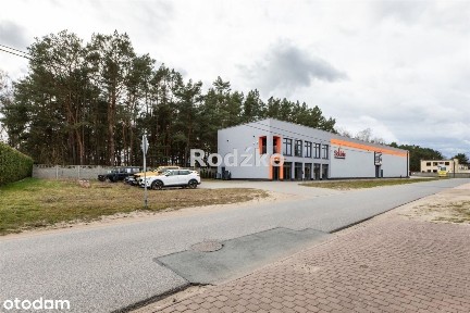 Hala/Magazyn, 800 m², Przyłęki