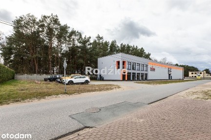 Hala/Magazyn, 800 m², Przyłęki