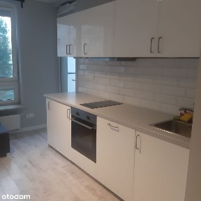 Przytulne mieszkanie do wynajęcia