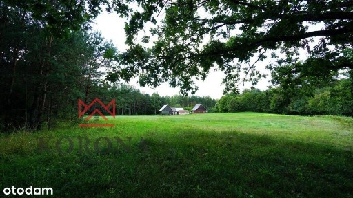 Stanowisko, Giby, sejneński, podlaskie