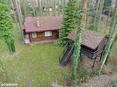 Adres dla tych, którzy słyszą ciszę