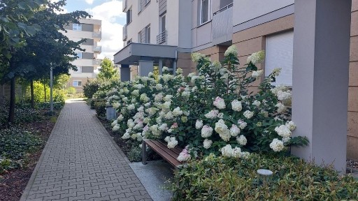 Krzyki Osiedle di Trevi 2 pokoje. Rozkładowe.