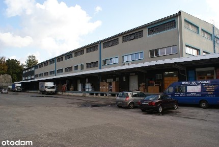 Ptasia, Pogoń, Sosnowiec, śląskie