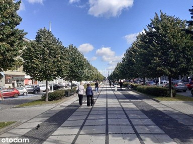 Aleja Najświętszej Maryi Panny, Śródmieście, Częstochowa, śląskie