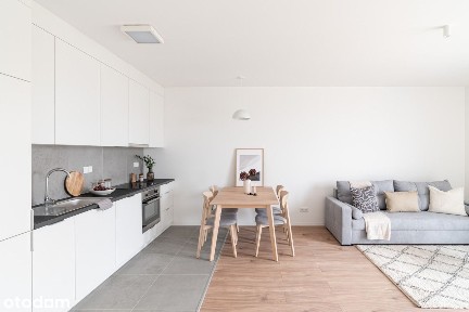 Bez pośredników | W pełni umeblowane | Centrum I Pet friendly