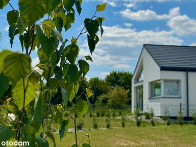 Nysa, nyski, opolskie