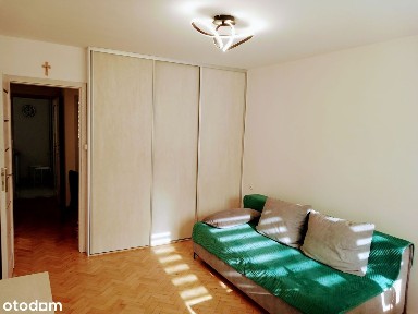 ul. Cedrowa, Dębiec, Wilda, Poznań, wielkopolskie