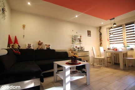 Ładne, 2 pokojowe w niskim bloku. Po remoncie.