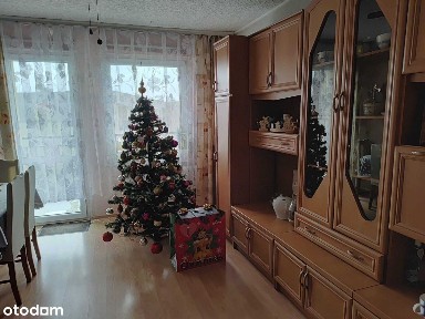 Wygodne, zadbane mieszkanie do wynajęcia