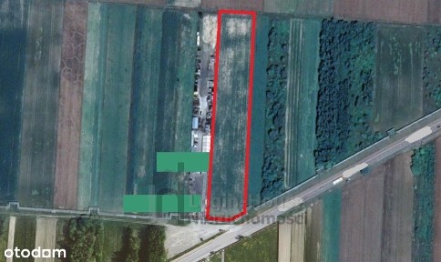 Puchaczów, łęczyński, lubelskie