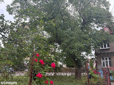 Mieszkanie w spokojniej okolicy Tczewa