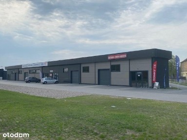 Hala magazynowo-handlowa wysoki stand/biura 217,5m2