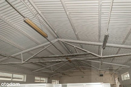 hala/magazyn 630m blisko centrum