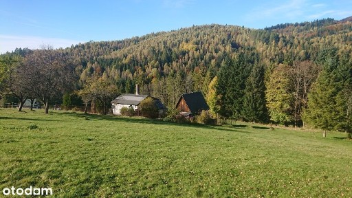 Siedlisko w Rajczy