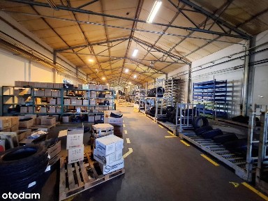 Centrum, Zielona Góra, lubuskie