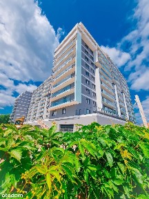 Langiewicza 37 | mieszkanie 3-pok. | 08K202