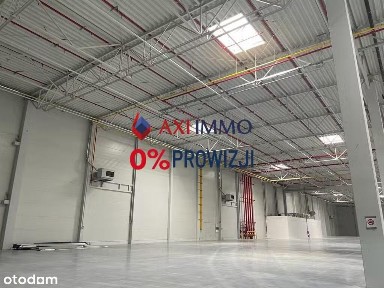 Tanie magazyny do wynajęcia w Rzeszowie, 10 lub 15 tys. mkw.
