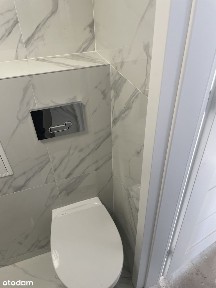 Bidziny, Wojciechowice, opatowski, świętokrzyskie