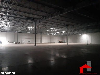 Hala/Magazyn, 5 000 m², Wodzisław Śląski