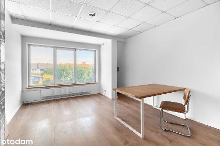 Lokal usługowy - 440m2 - Plewiska