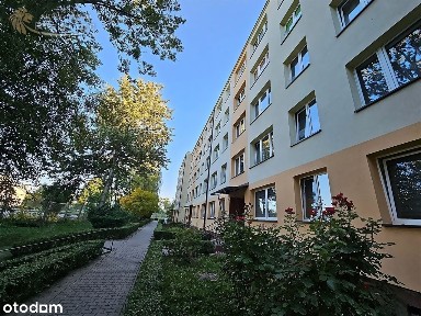 Sikornik, Gliwice, śląskie