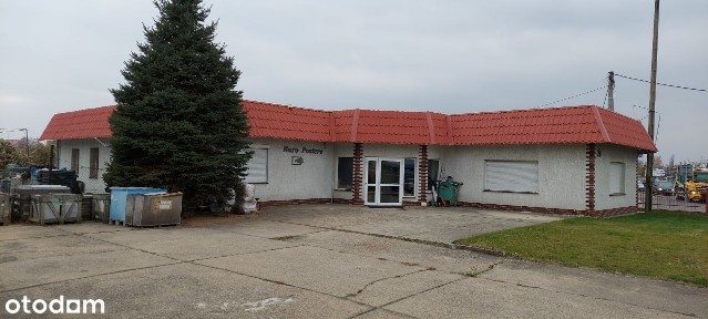 Jawor, jaworski, dolnośląskie