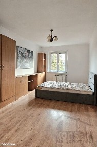 ul. Elizy Orzeszkowej, Niebuszewo-Bolinko, Śródmieście, Szczecin, zachodniopomorskie