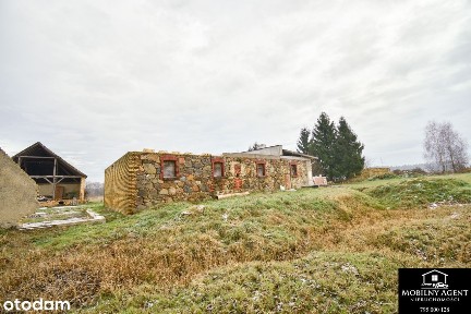 Dom do remontu Sieniawa Żarska