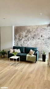 ul. Norberta Barlickiego, Śródmieście Bielsko, Bielsko-Biała, śląskie