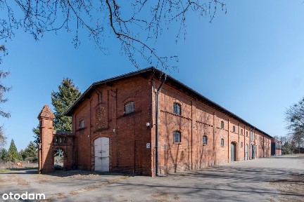 Budynek wielofunkcyjny do adaptacji pod wszystko - ul. Bukowska