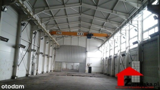 Lokal użytkowy, 5 500 m², Gliwice