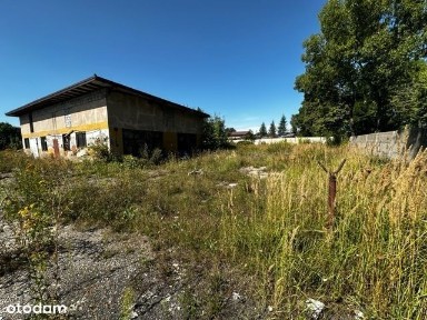Zamoście-Kolonia, Strzelce Wielkie, pajęczański, łódzkie